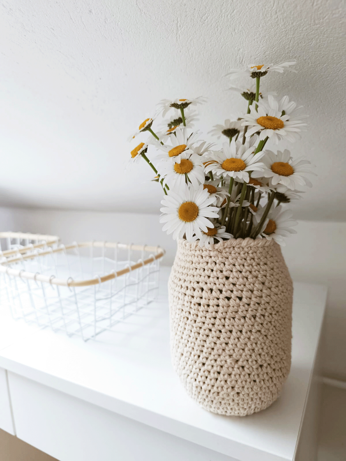 Does anyone know why Emmaknitty has blocked me? Or, Tulip’s Tale.